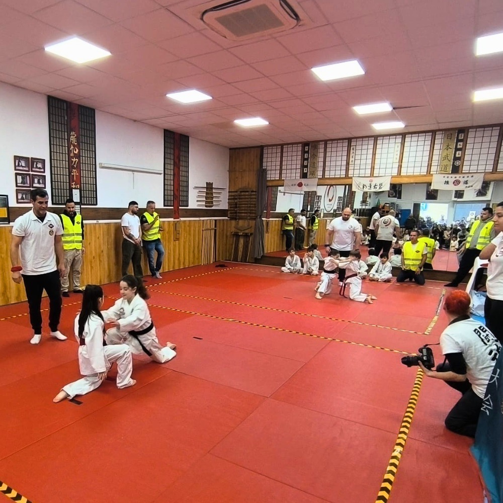 competicion-grappling-2